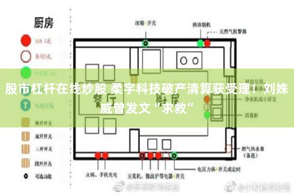 股市杠杆在线炒股 柔宇科技破产清算获受理！刘姝威曾发文“求救”