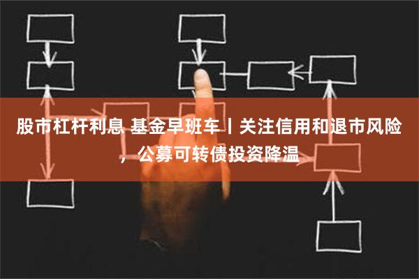 股市杠杆利息 基金早班车丨关注信用和退市风险，公募可转债投资降温