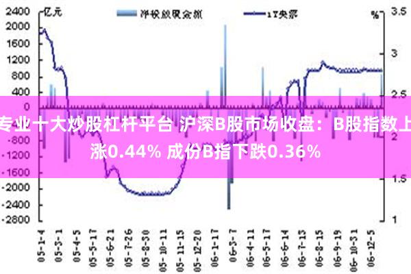 专业十大炒股杠杆平台 沪深B股市场收盘：B股指数上涨0.44% 成份B指下跌0.36%