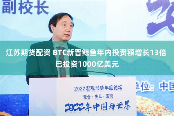 江苏期货配资 BTC新晋鲸鱼年内投资额增长13倍 已投资1000亿美元