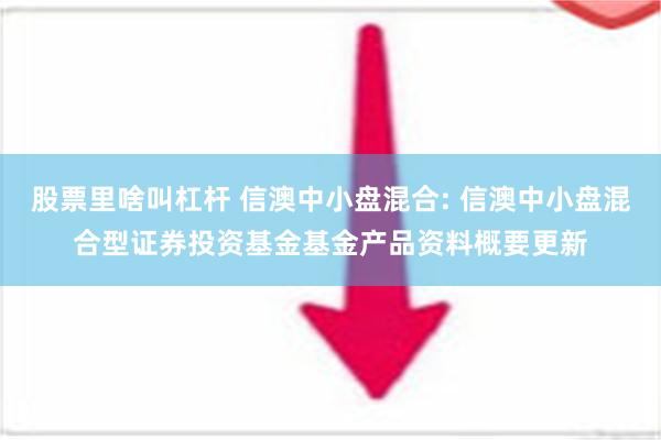 股票里啥叫杠杆 信澳中小盘混合: 信澳中小盘混合型证券投资基金基金产品资料概要更新