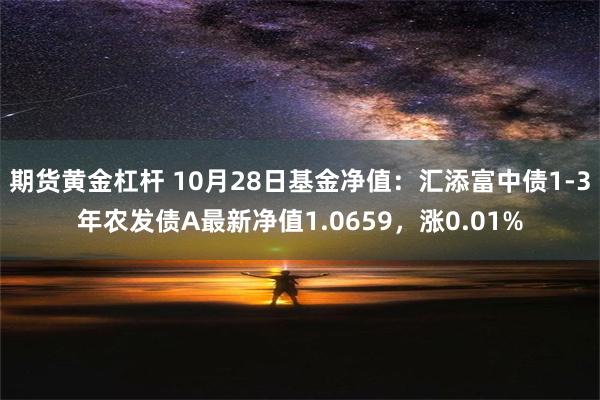 期货黄金杠杆 10月28日基金净值：汇添富中债1-3年农发债A最新净值1.0659，涨0.01%