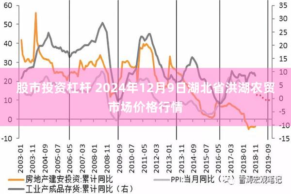 股市投资杠杆 2024年12月9日湖北省洪湖农贸市场价格行情