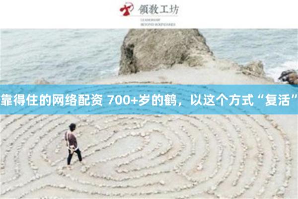 靠得住的网络配资 700+岁的鹤，以这个方式“复活”