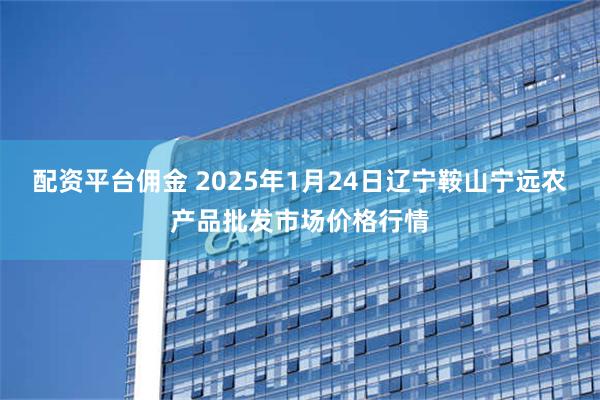 配资平台佣金 2025年1月24日辽宁鞍山宁远农产品批发市场价格行情